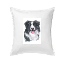 Border kólia vodová farba