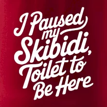 I Paused My Skibidi Toilet to be Here
