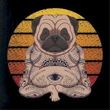 Yoga meditace - pug Yoga meditace - pug