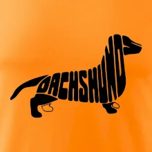 Jazvečík - Dachshund