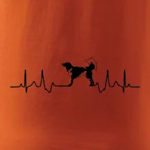 Český strakatý pes EKG