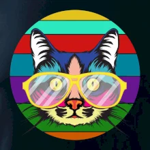 Mačka pri farebnom západe