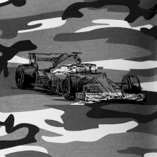 Formula v závode Formula v závode