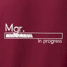 In progress titul Mgr. magister / magistra