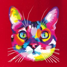 Mačka dúhová hlava