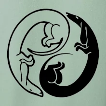 Jazvečíky - Jin jang