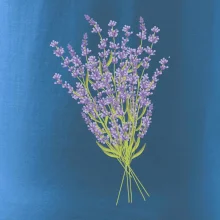 Levanduľa kreslená