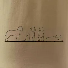 Lagotto romagnolo postavy linka