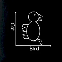 Cat bird diagram Cat bird diagram