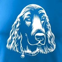 Kokeršpaniel - hlava kreslená