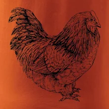 Sliepka čiernobiela