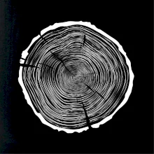 Letokruhy 85 bez veku