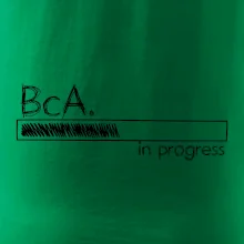 In progress titul BcA. bakalár / bakalárka umenia