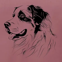 Bernský salašnícky pes čierna kresba