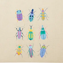 Farebné chrobáky (studio-arte.cz)