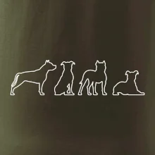 Americký stafordšírsky teriér v rôznych pozíciách