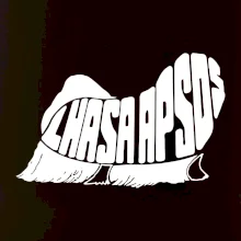 Lhasa Apso nápis v tele Lhasa Apso nápis v tele