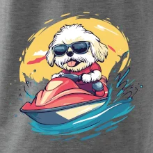 Lhasa Apso na vodnom skútri