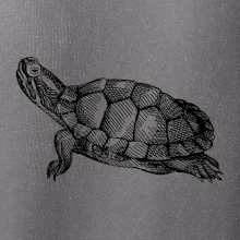 Ceruzkou kreslená korytnačka