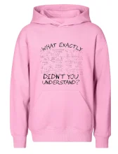 What exactly didn't you understand - physics