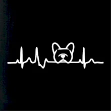 EKG Francúzsky buldoček hlava EKG Francúzsky buldoček hlava