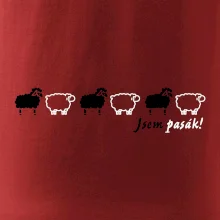 Som pasák - ovce v rade