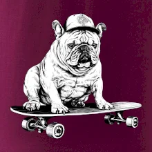 Čiernobiely buldog na skateboarde