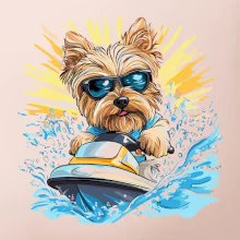 Yorkšírsky teriér na vodnom skútri