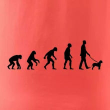 Lagotto romagnolo Evolúcia