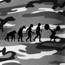 Evolution fitness Evolution fitness