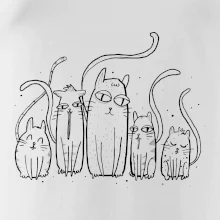 Mačacia rodina Mačacia rodina