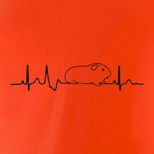 EKG morča EKG morča