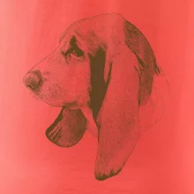 Basset - kreslená hlava