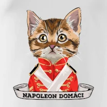 Napoleon domáci mačka Napoleon domáci mačka
