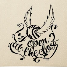 Harry - Zlatá strela