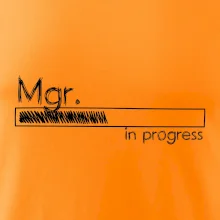 In progress titul Mgr. magister / magistra