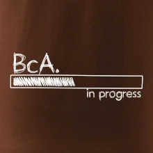 In progress titul BcA. bakalár / bakalárka umenia