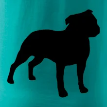 Americký stafordšírsky teriér Na prsníku