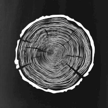 Letokruhy 100 bez veku