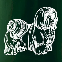 Shih-tzu - chlpatý
