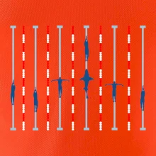 Plavecký bazén žralok