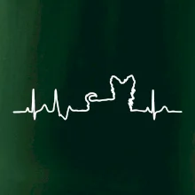 Yorkshirský teriér EKG Yorkshirský teriér EKG