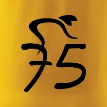 Cyklista oslavuje sedemdesiatpäťpäťky (75)