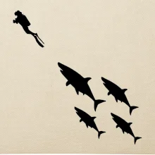 Potápač žraloky Potápač žraloky