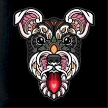 Knírač hlava barevná