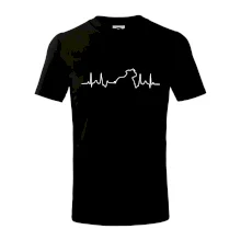 Stafordšírsky bulteriér ‎ EKG