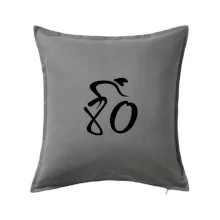 Cyklista oslavuje osemdesiatiny  (80)