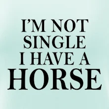 I have a horse