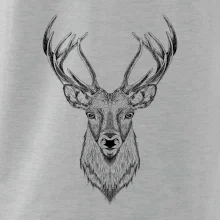 Jeleň kresba Jeleň kresba