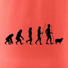 Evolúcia pastier oviec